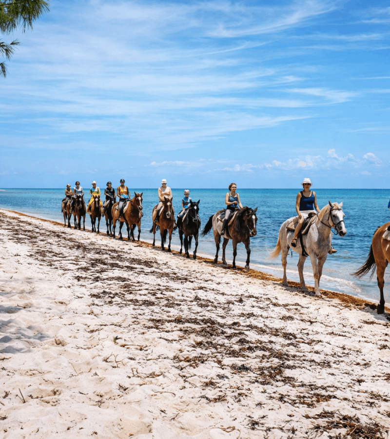 Horseback Riding with Pampered Ponies