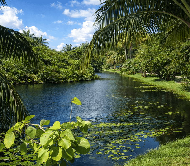 Local Attractions - Conch Point 223 by the Sea